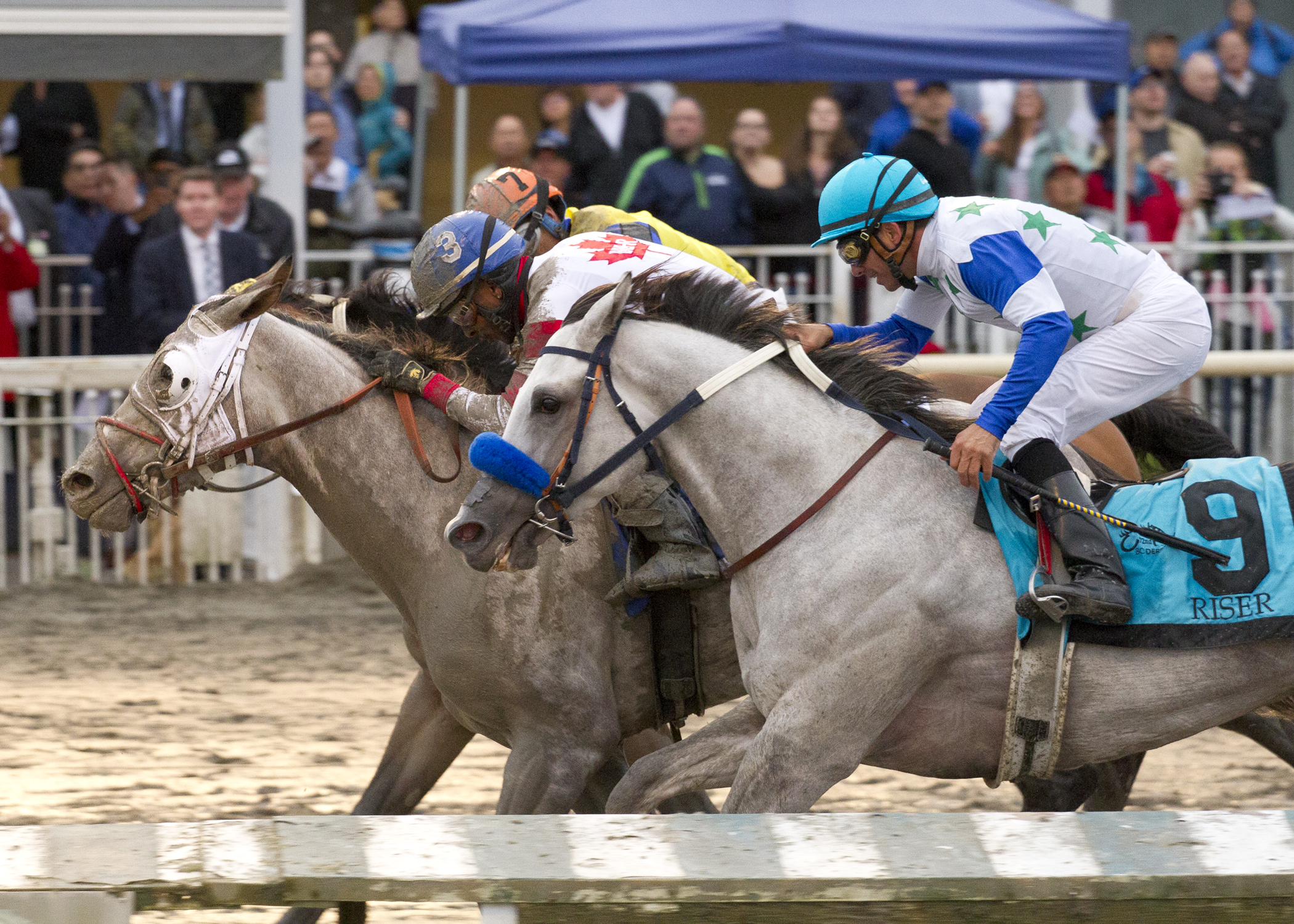 Chief Know It All wins the 2017 BC Derby