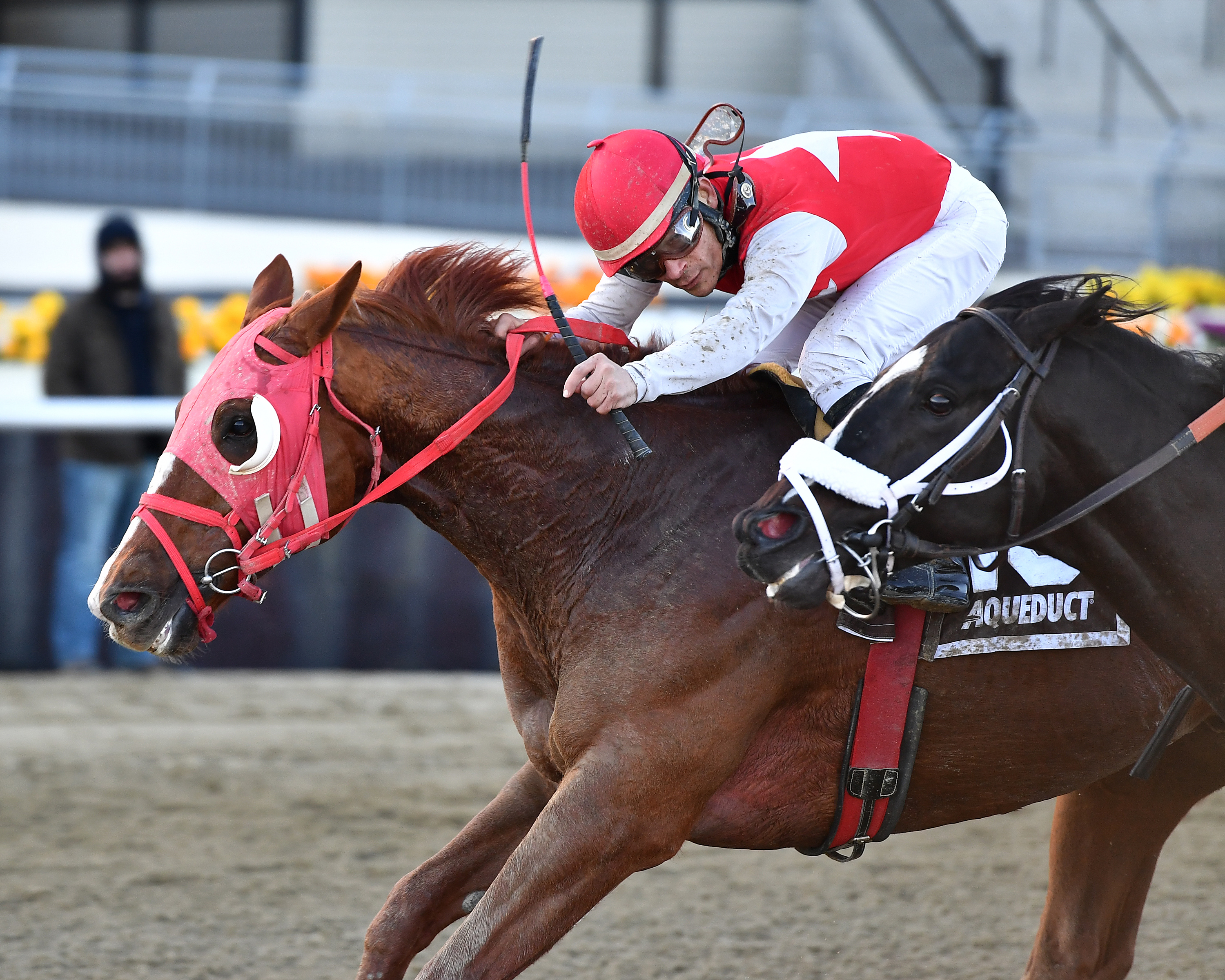Chilly Bon Bon wins 2018 More To Tell