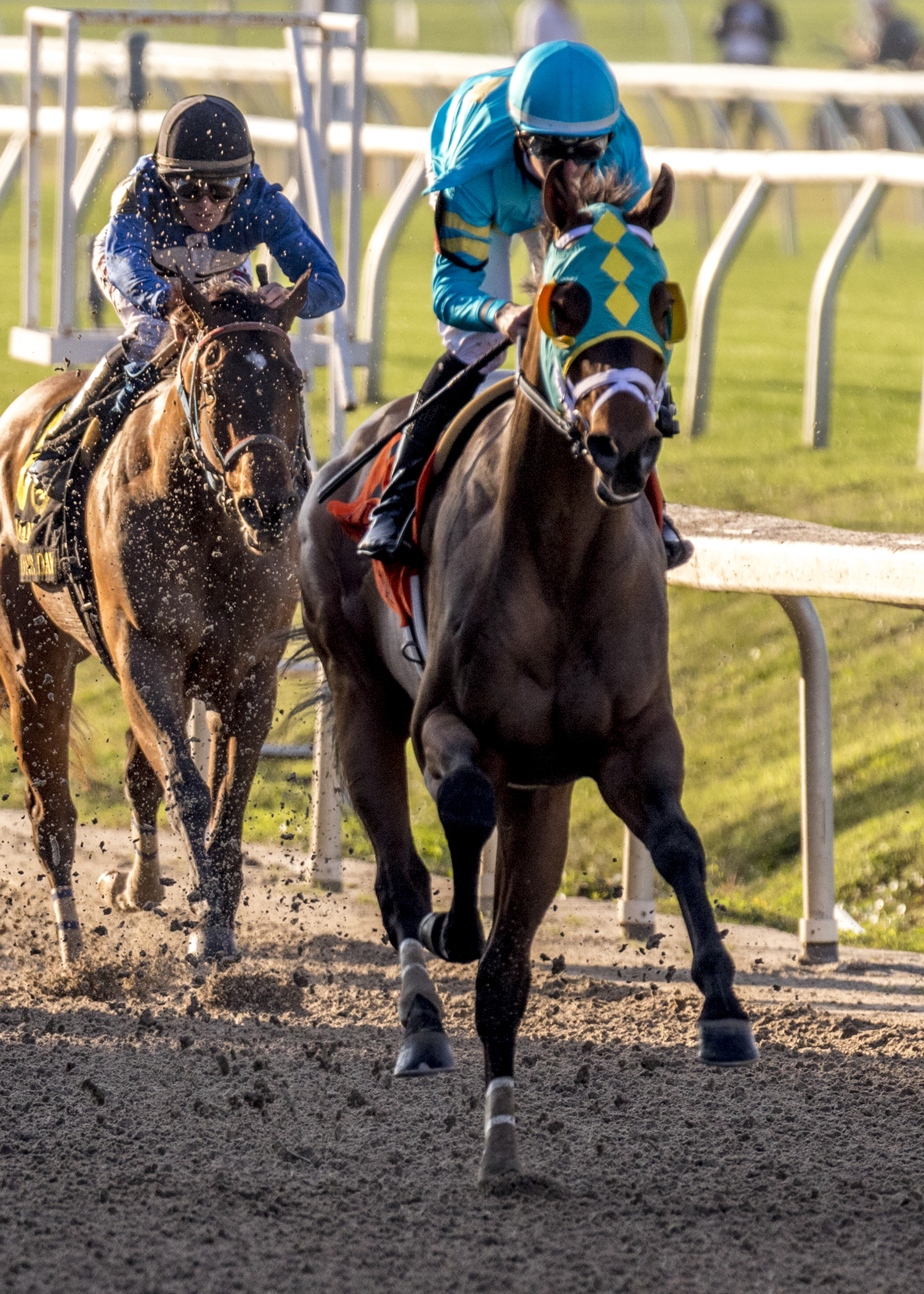 Chimney Rock/Louisiana Champions Day Juvenile