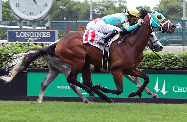 Chimney Rock (No. 11) wins a Churchill allowance on May 17