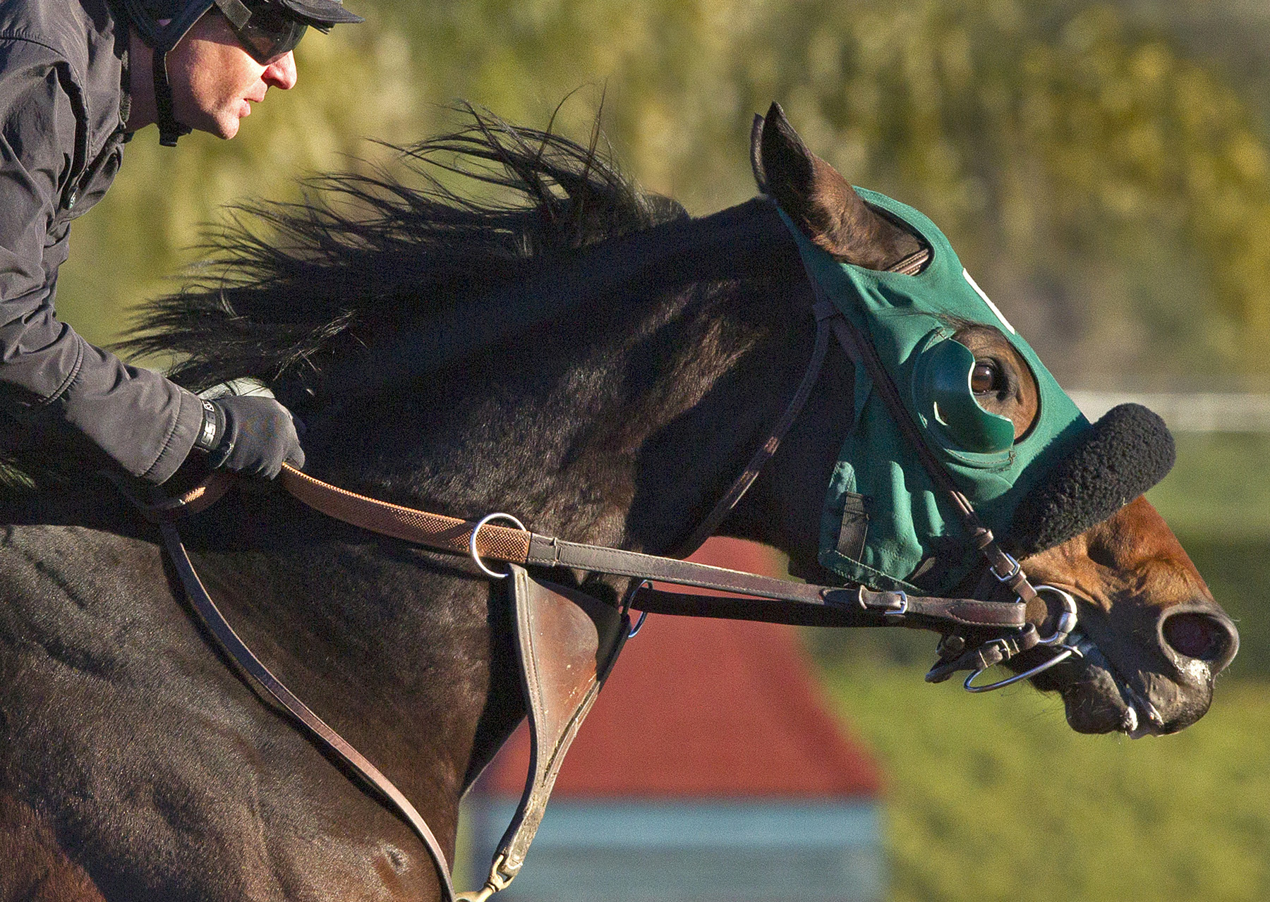China Girl Lover trains on Jan. 12
