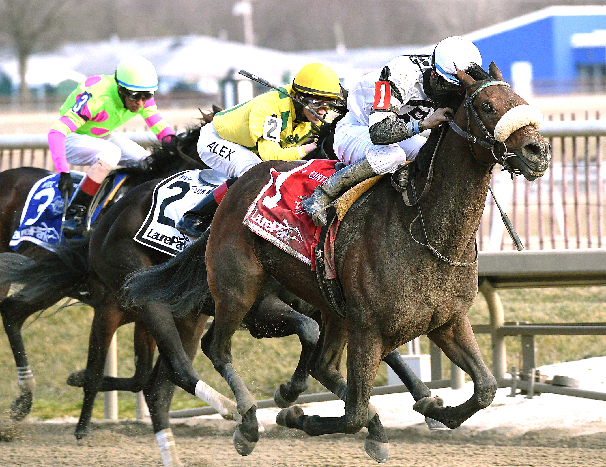 China Grove wins the Wide Country Stakes
