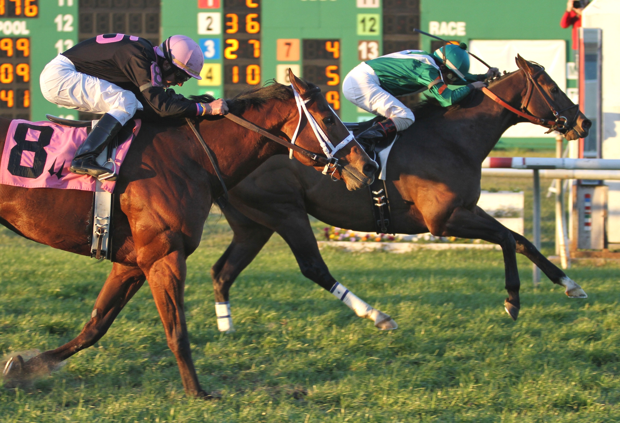 China, Bonapaw Stakes