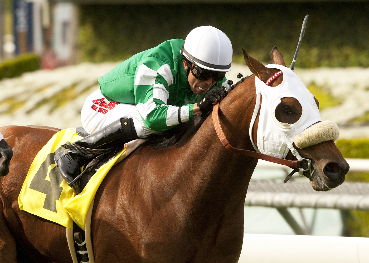 Chips All In, Pasadena Stakes