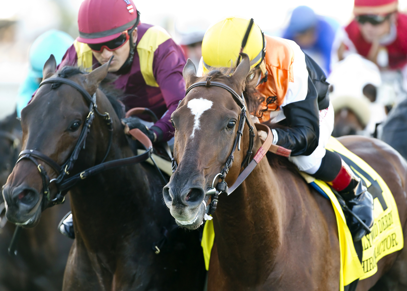 Chiropractor wins the Hollywood Derby