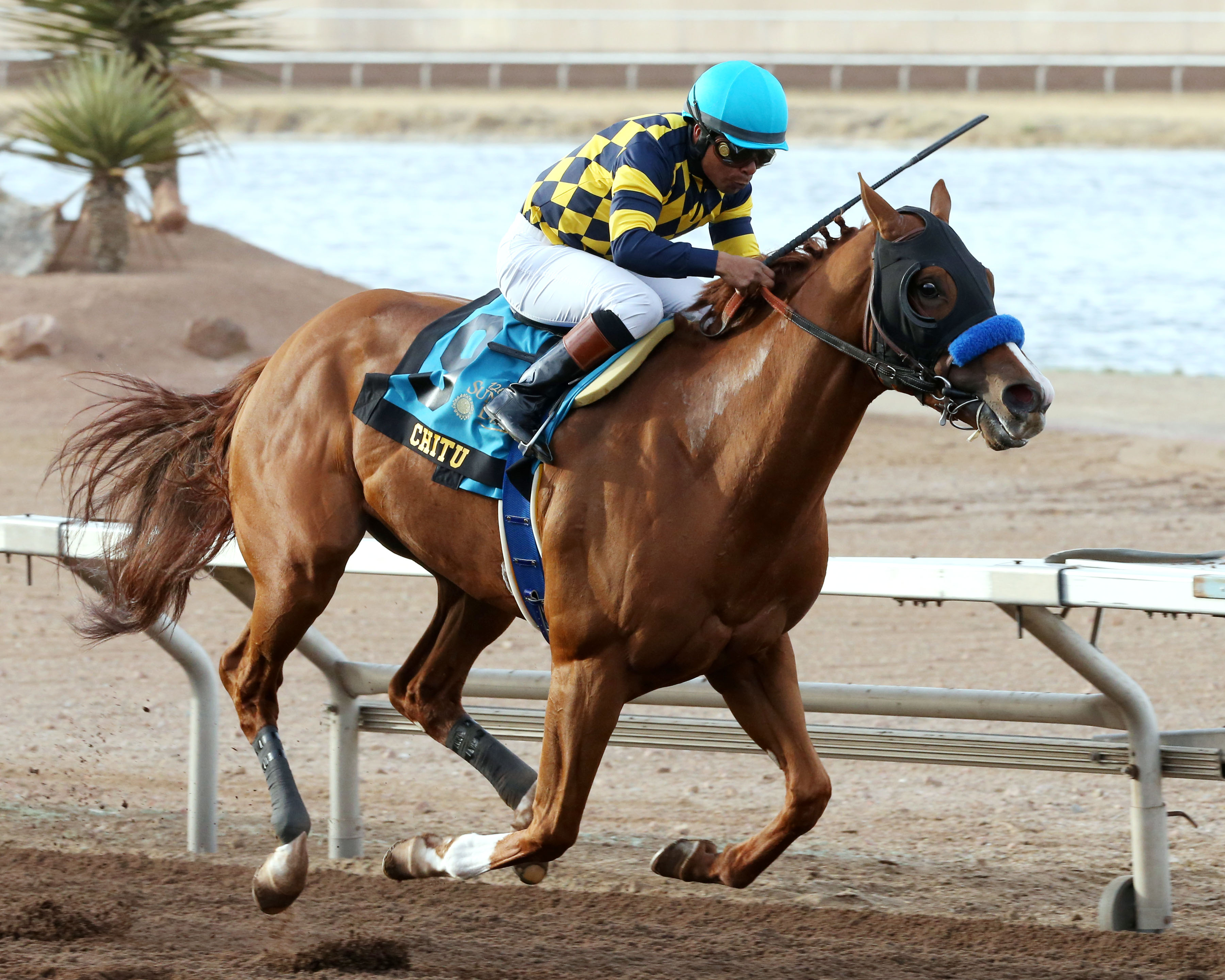 Chitu wins the Sunland Derby