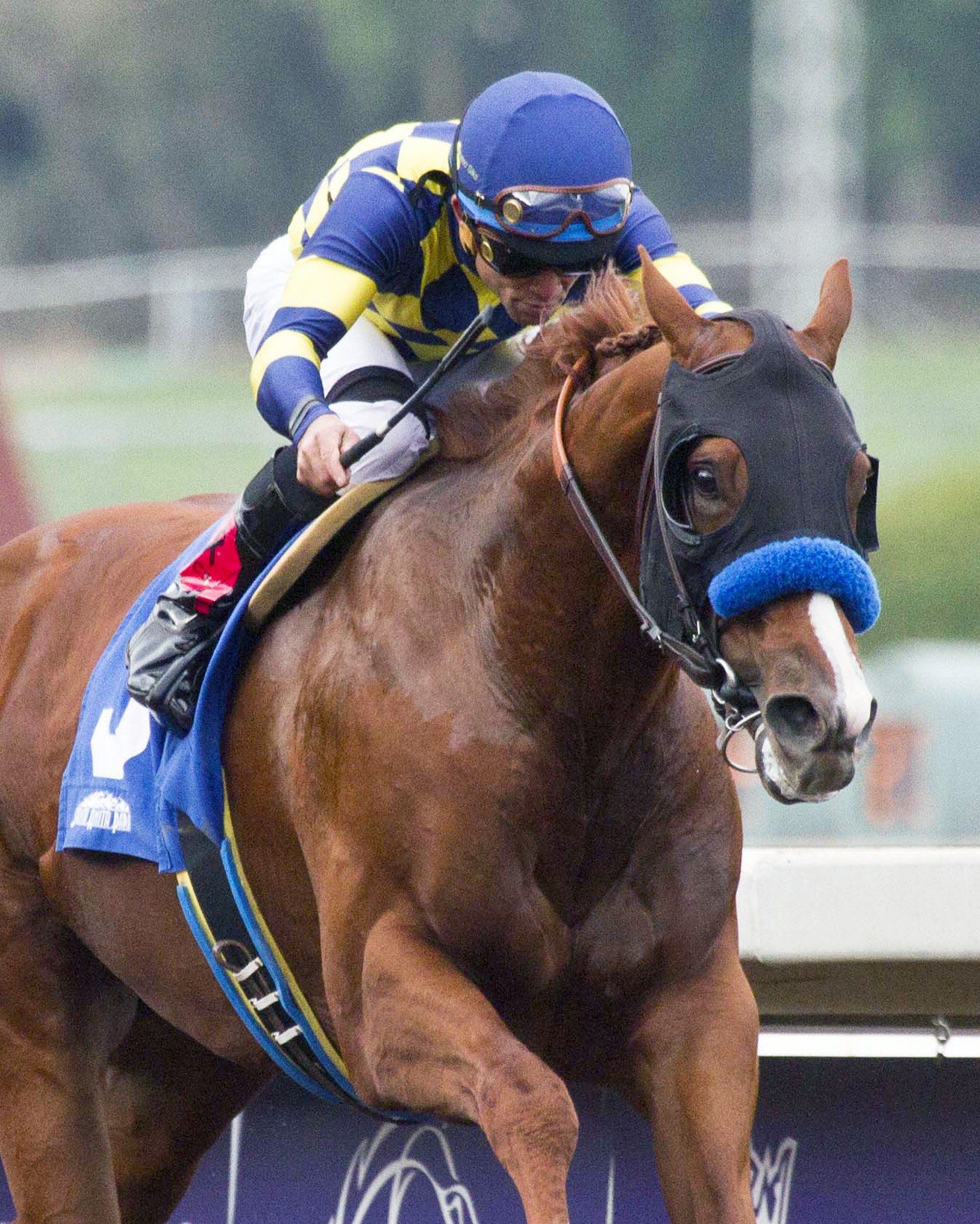 Chitu wins the Damascus Stakes