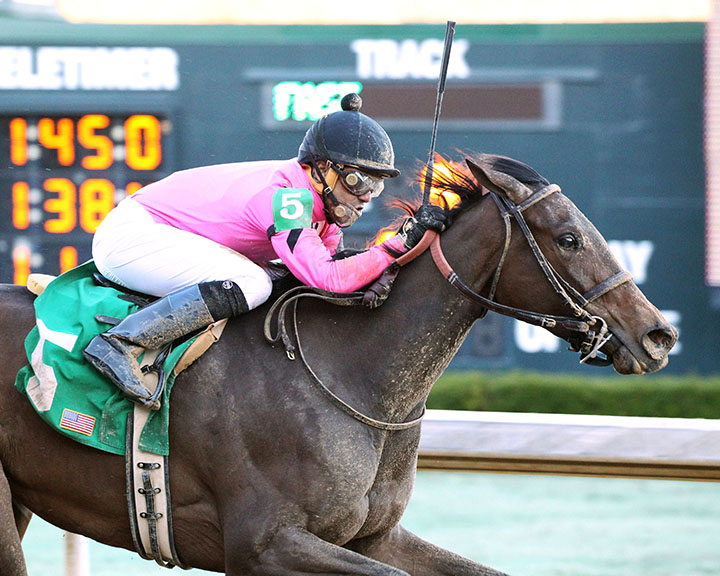Chocolate Kisses wins the 2019 Honeybee