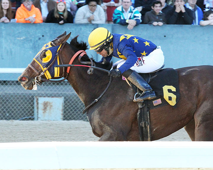 Chocolate Martini wins a Feb. 24 allowance at Oaklawn