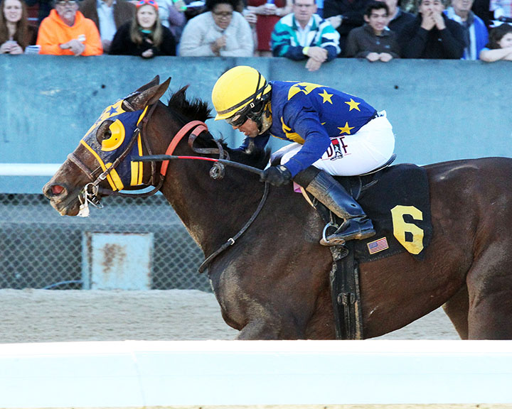 Chocolate Martini wins a Feb. 24 allowance at Oaklawn