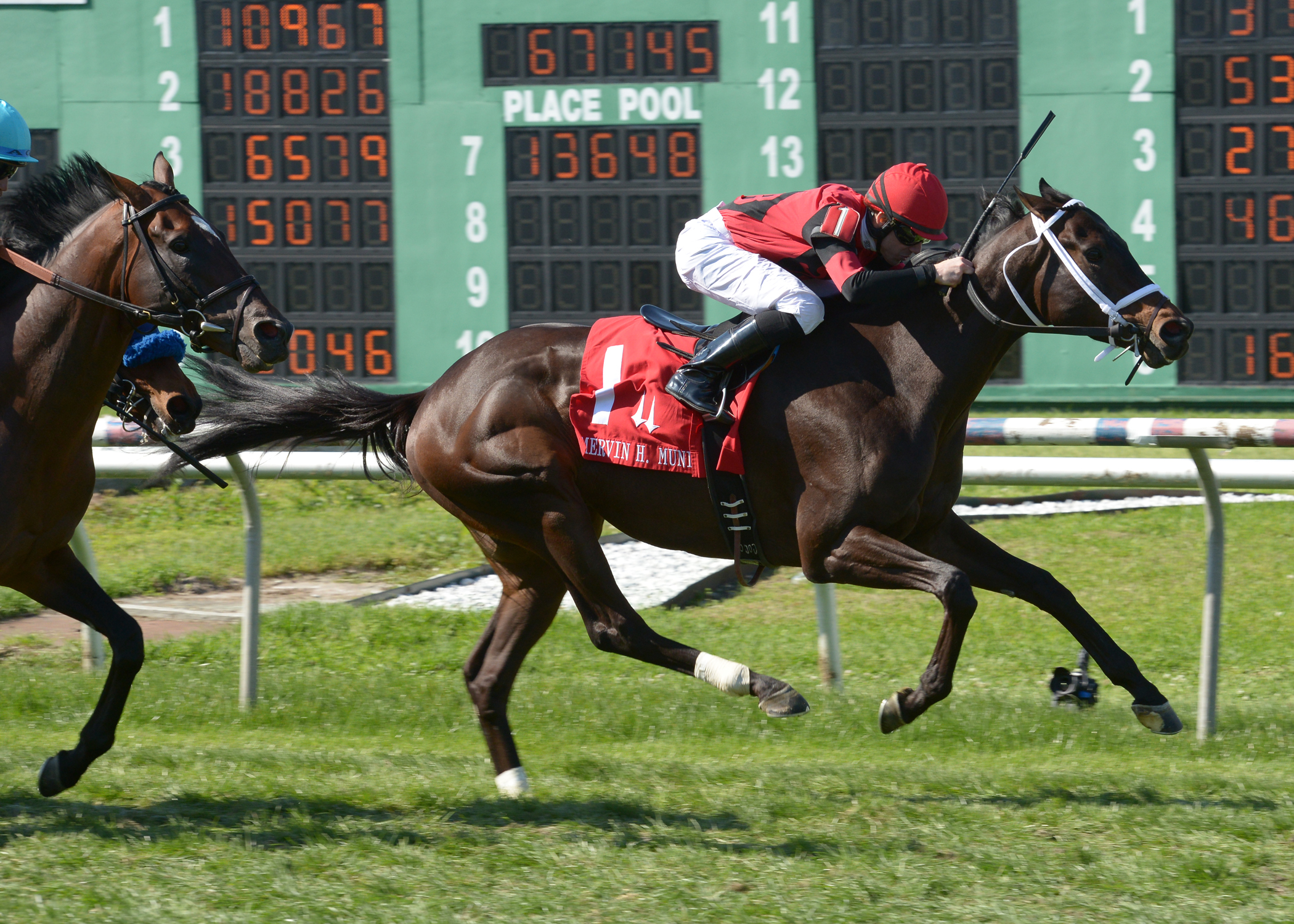 Chocolate Ride wins 2015 Muniz Memorial