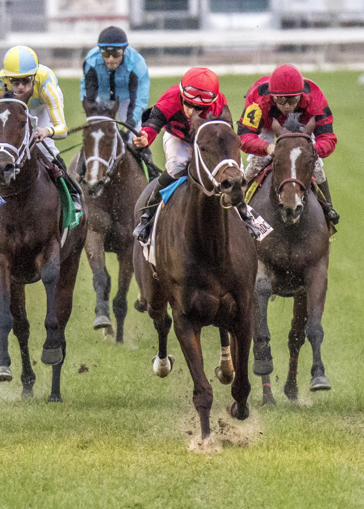 Chocolate Ride wins the Col. E. R. Bradley