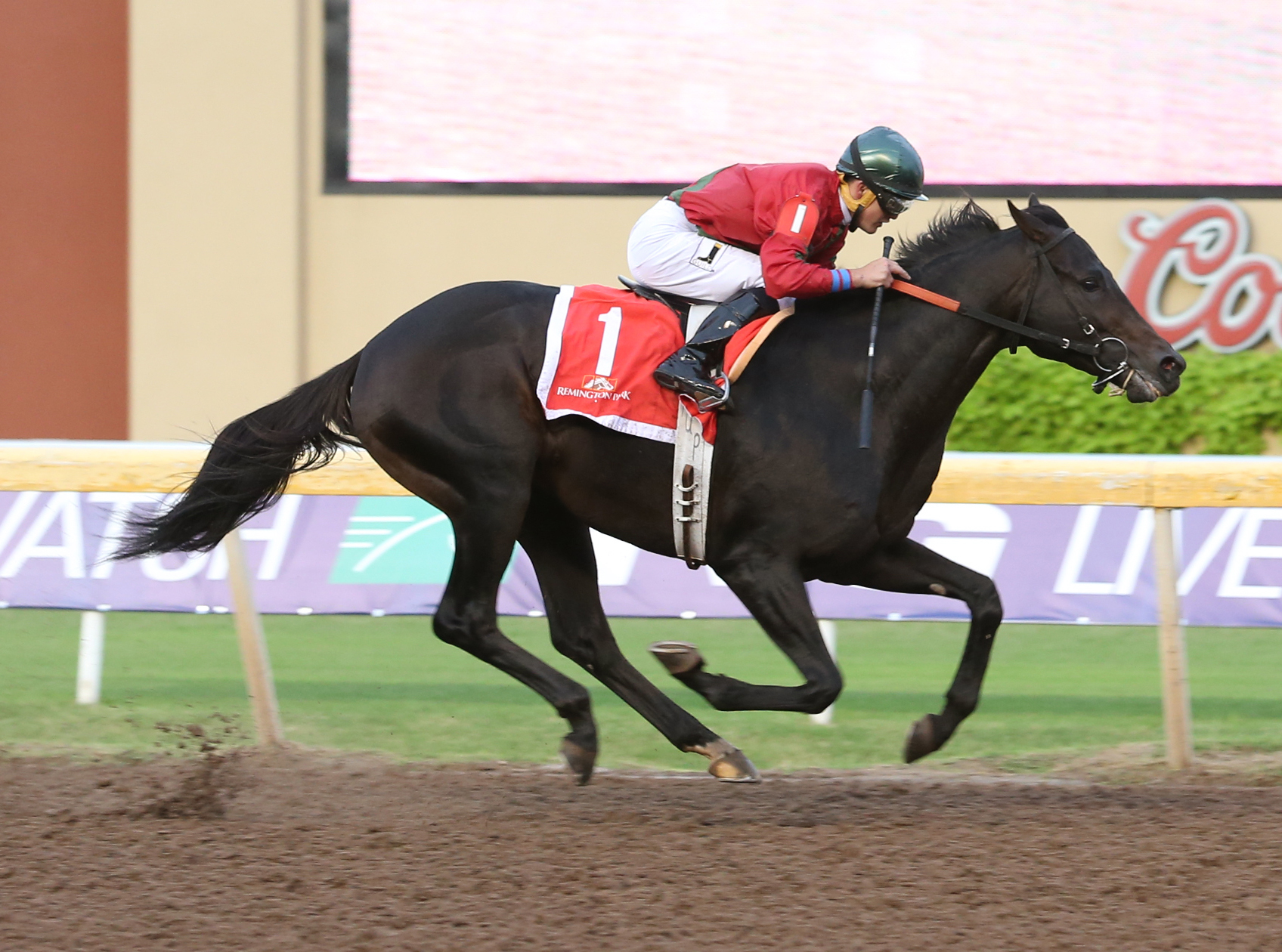 Chocopologie wins the Governor's Cup