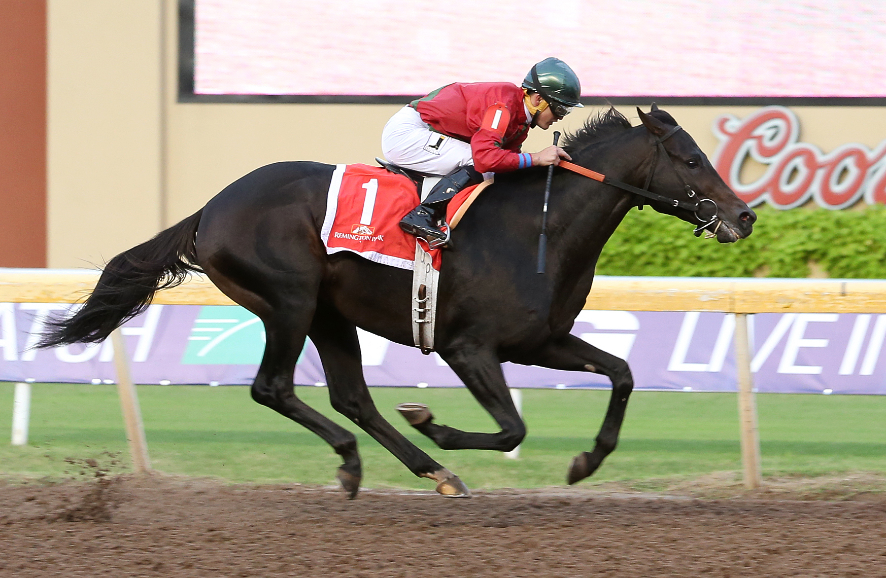 Chocopologie wins the Governor's Cup Stakes