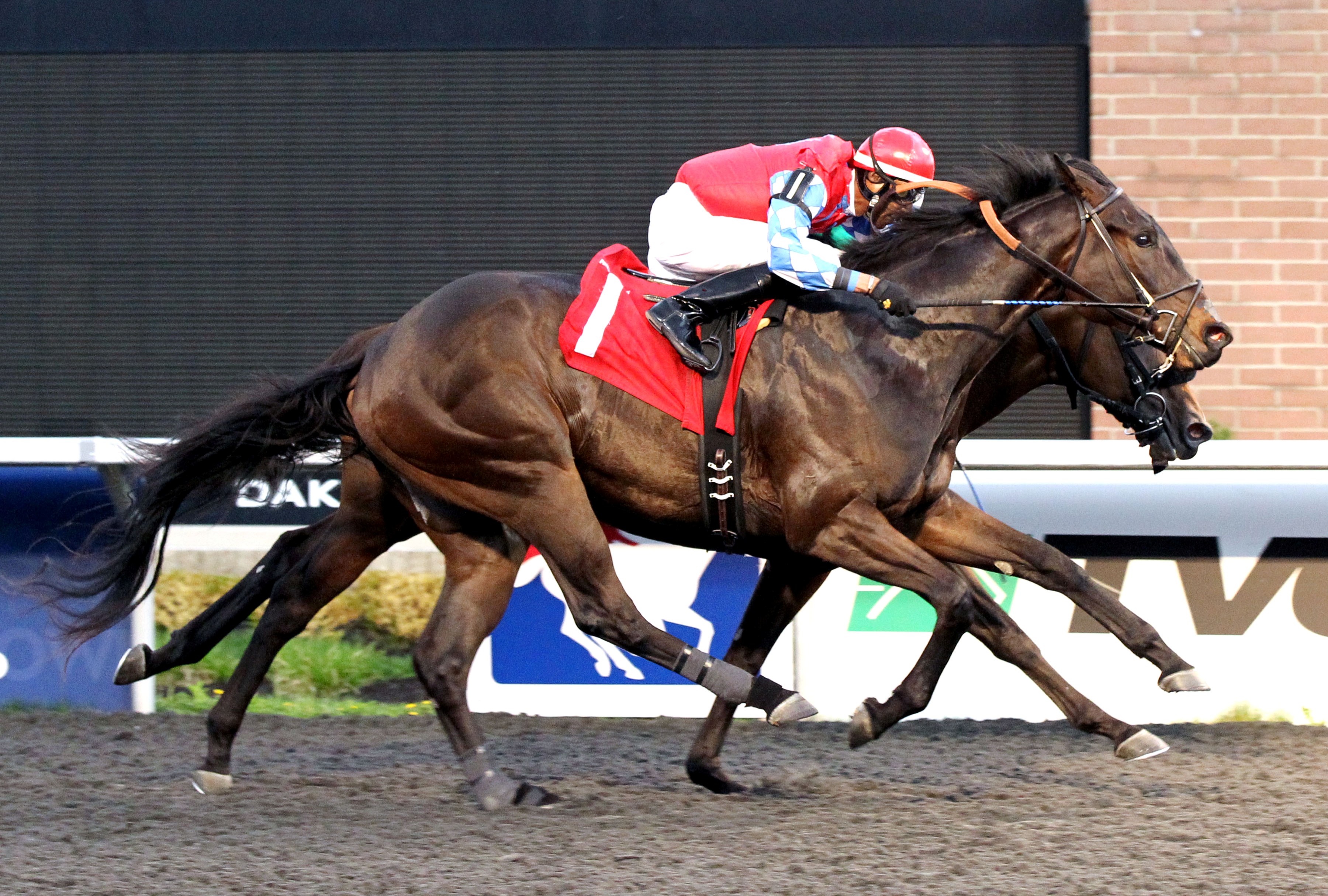 Choctaw Chuck (outside), Tom Ridge Stakes