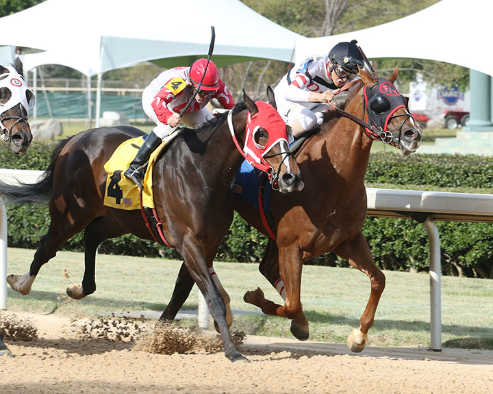 Choir Director (right) wins an April 12, 2018, allowance race at Oaklawn