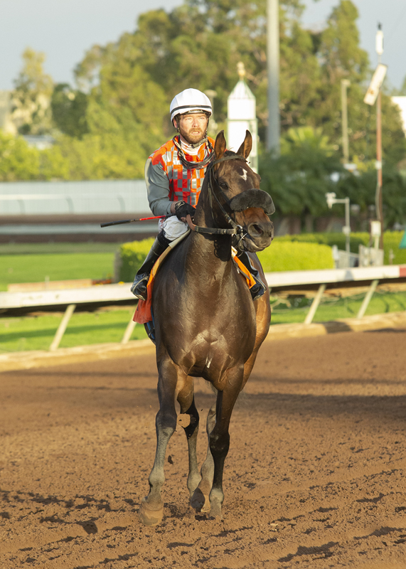 Cholula Lips following victory in the 2019 Soviet Problem Stakes