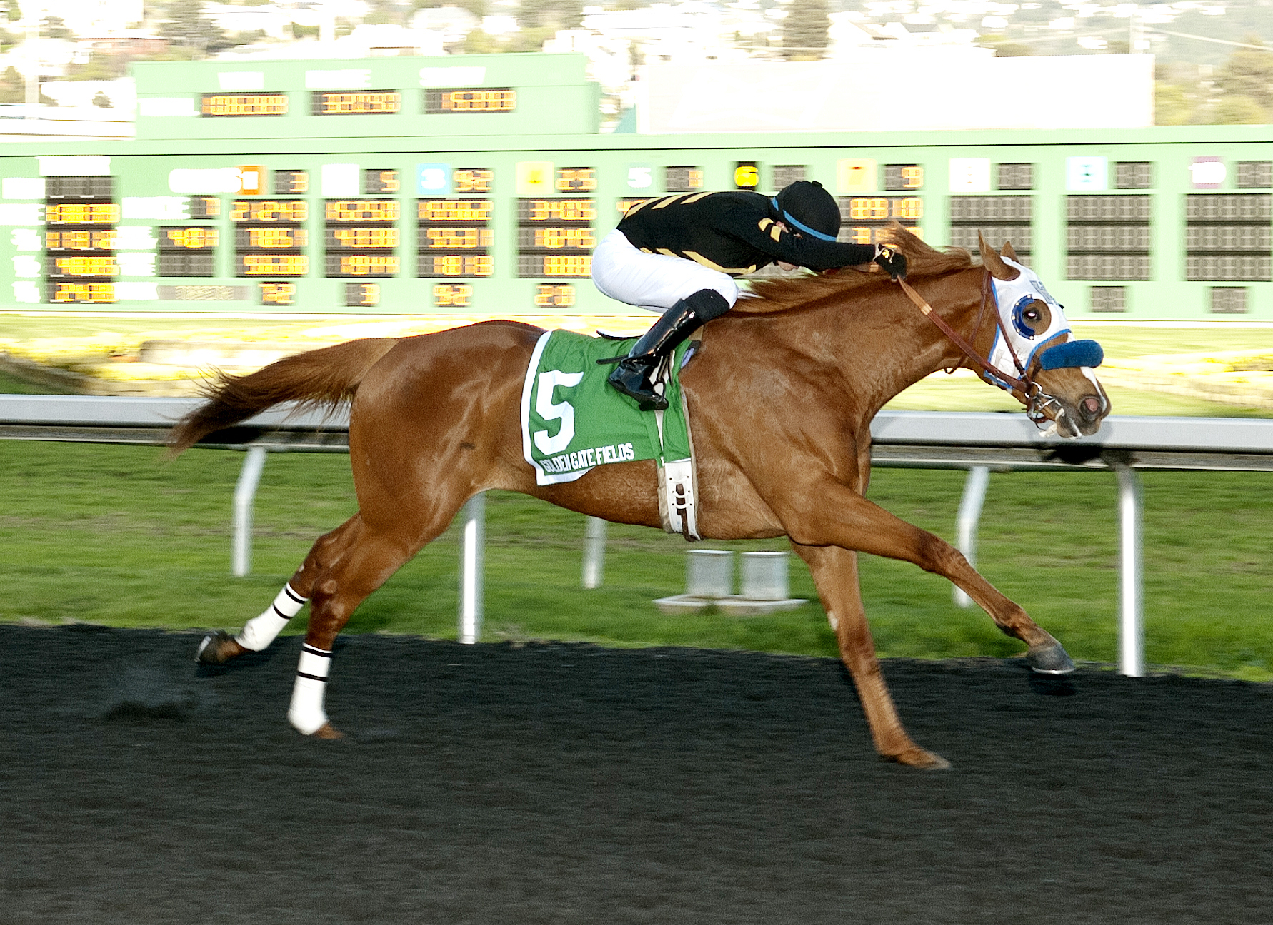 Choo Choo wins the 2018 California Derby