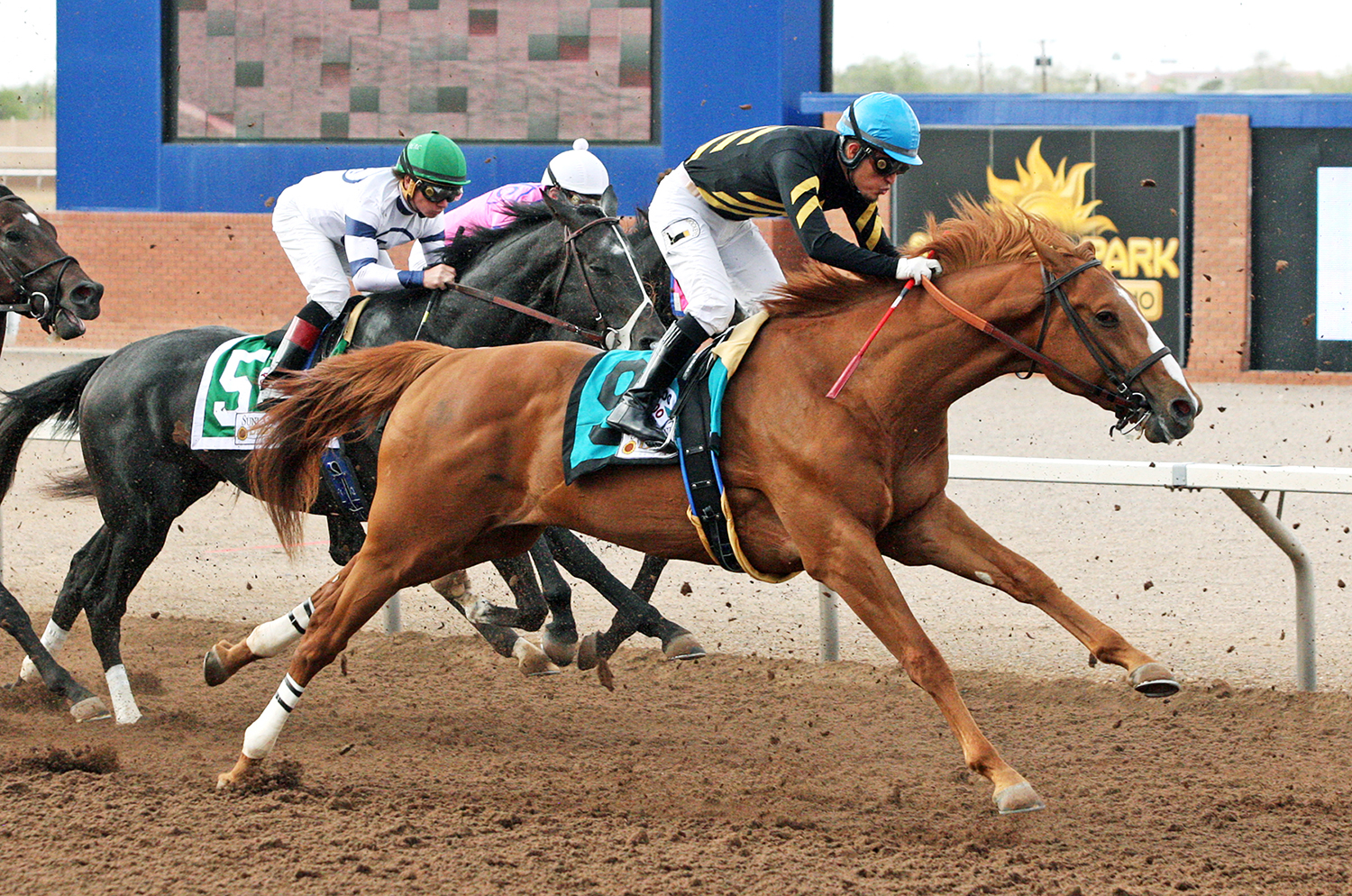 Choo Choo wins the 2018 Sunland Derby