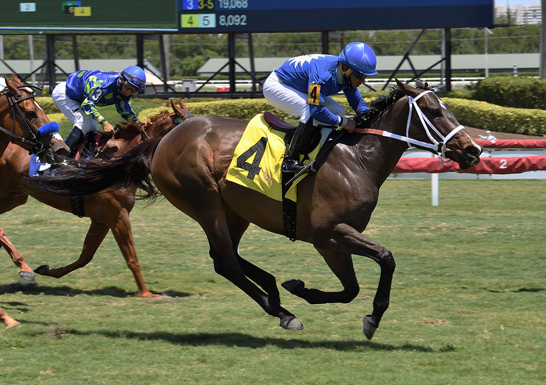 Choose Joy wins the 2021 Golden Beach Handicap at Gulfstream Park