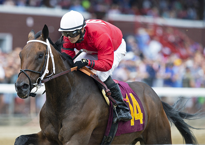 Chris and Dave wins a July 28 allowance race at Saratoga