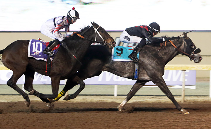 Chris and Dave (left) finishes second in the 2019 Jeffrey A. Hawk Memorial at Remington Park