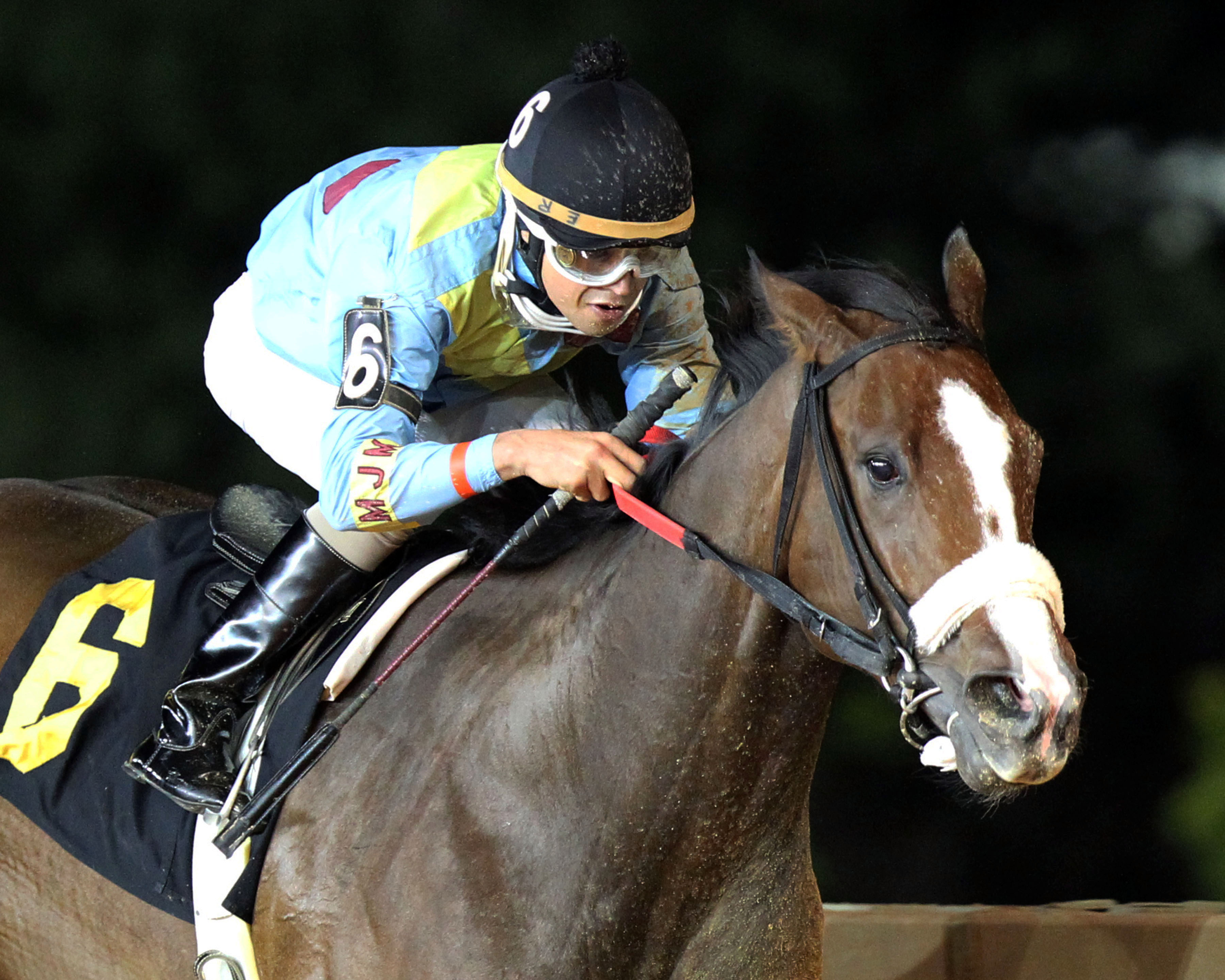 Chrome Mine wins the Ann Hilton Handicap