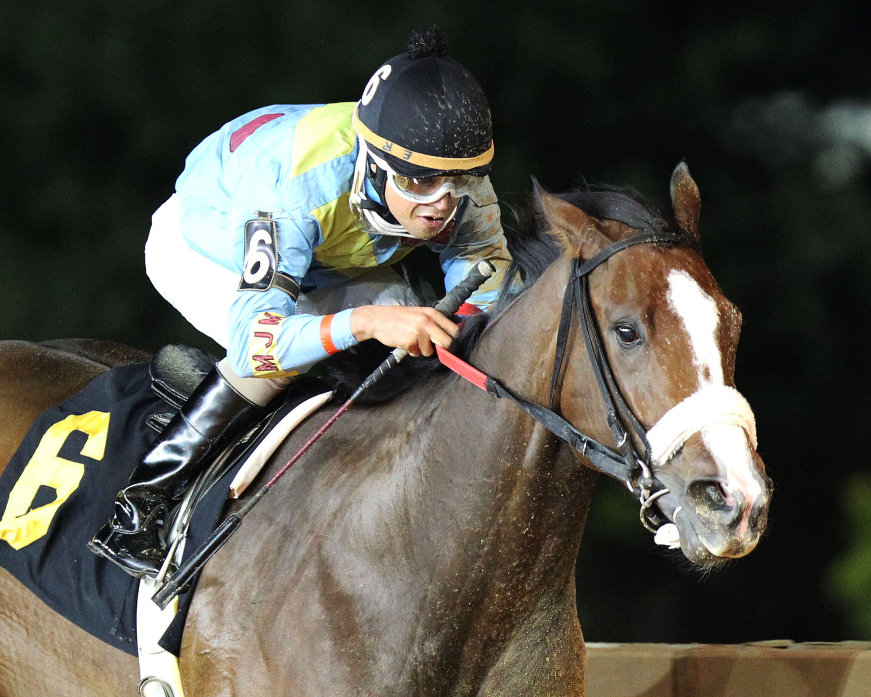 Chrome Mine wins the 2014 Ann Hilton Handicap