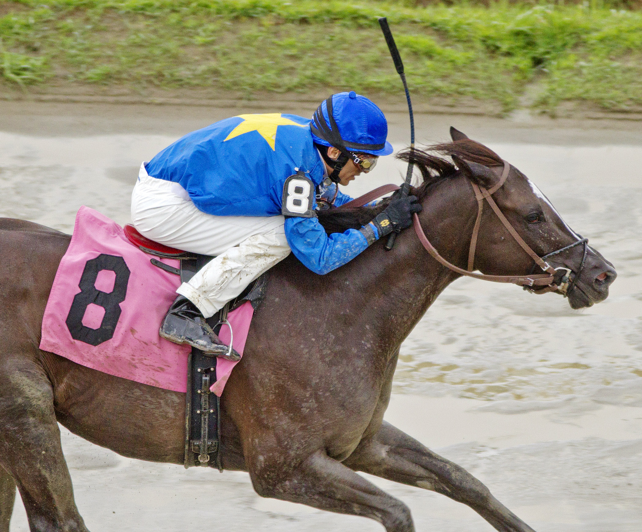Chrysolite wins an allowance race