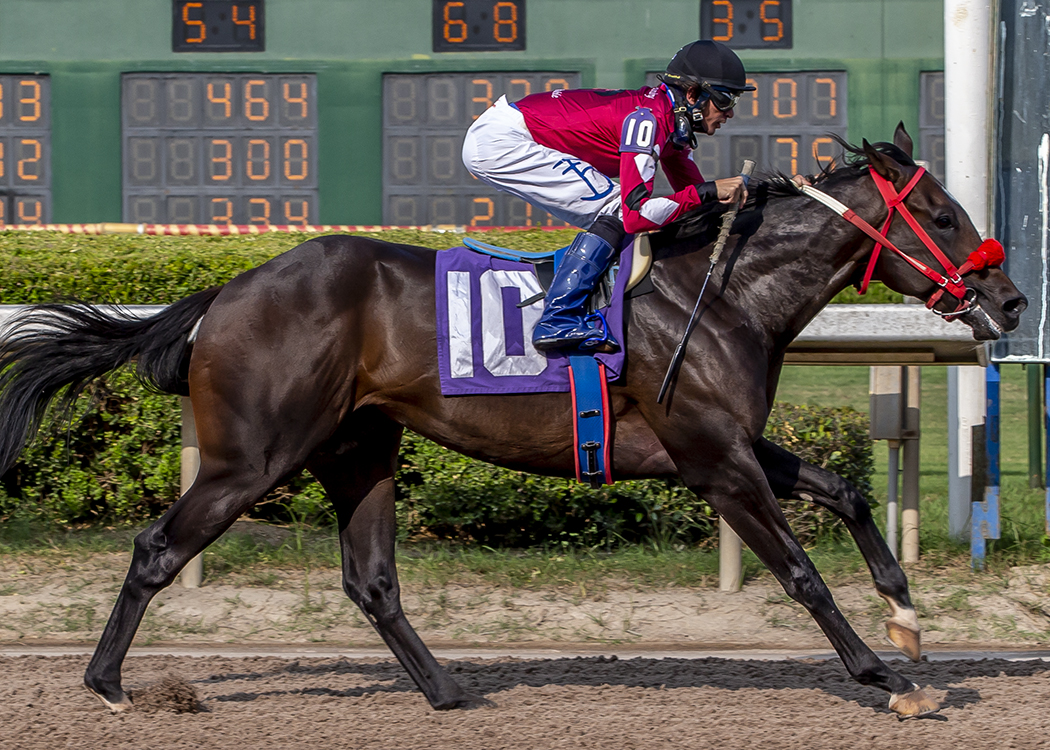 Chu Chu's Legacy wins Louisiana Day Juvenile 9-19-2020