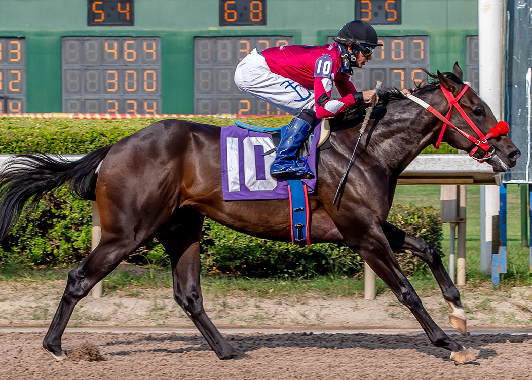 Chu Chu's Legacy wins the 2020 Louisiana Cup Juvenile Stakes at Louisiana Downs