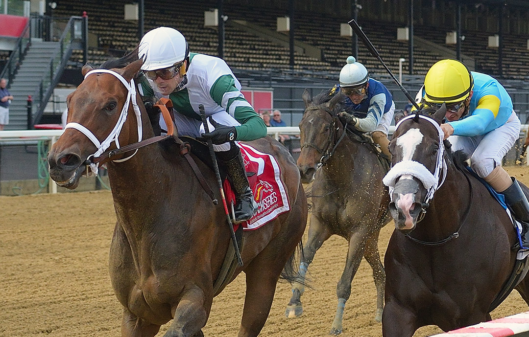 Chub Wagon (left) beats Hello Beautiful to win the 2021 Shine Again Stakes at Pimlico Race Course