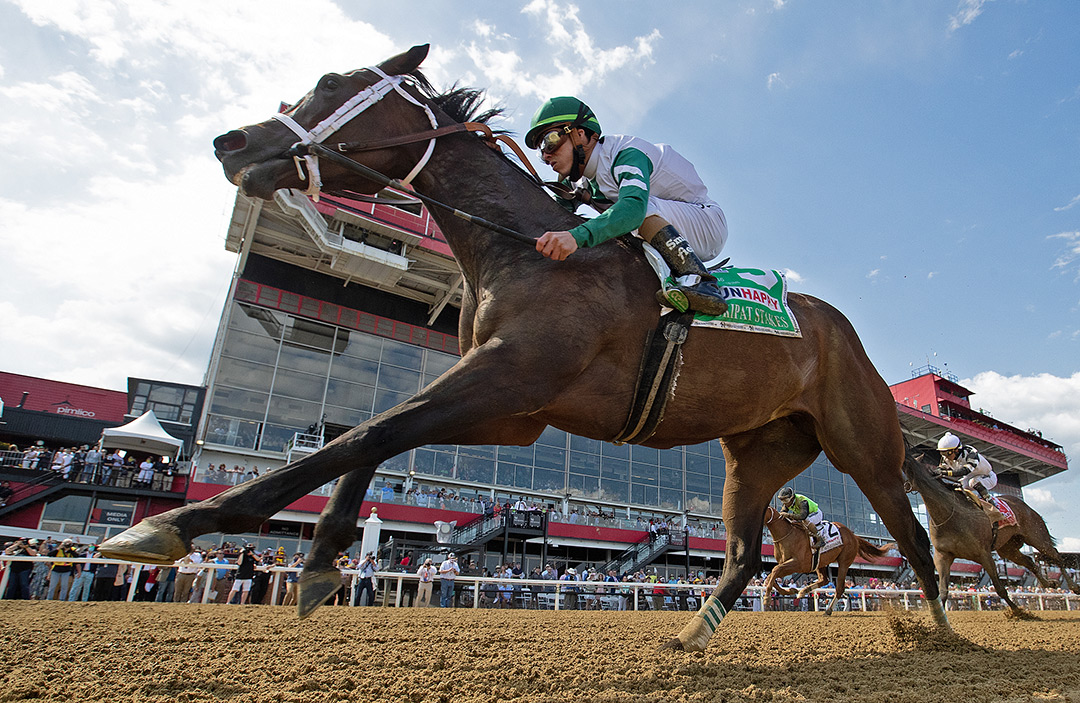Chub Wagon wins the 2021 Skipat Stakes at Pimlico Race Course