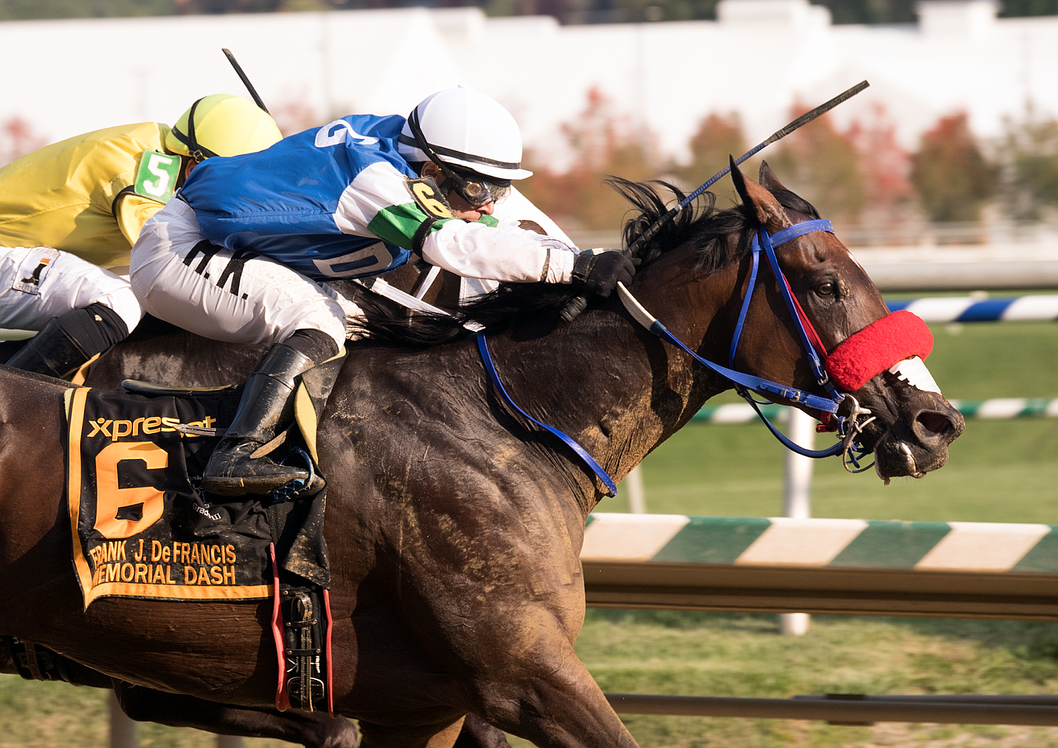 Chublicious wins the 2017 De Francis Dash