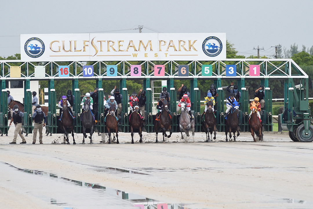 Gulfstream Park West off-the-turf maiden race with Churchills Victory on Oct. 3, 2020