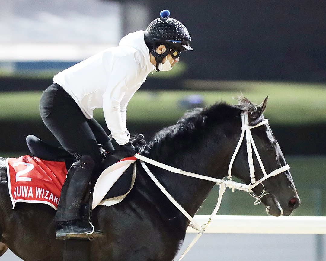 Chuwa Wizard trains at Meydan Racetrack in March 2021