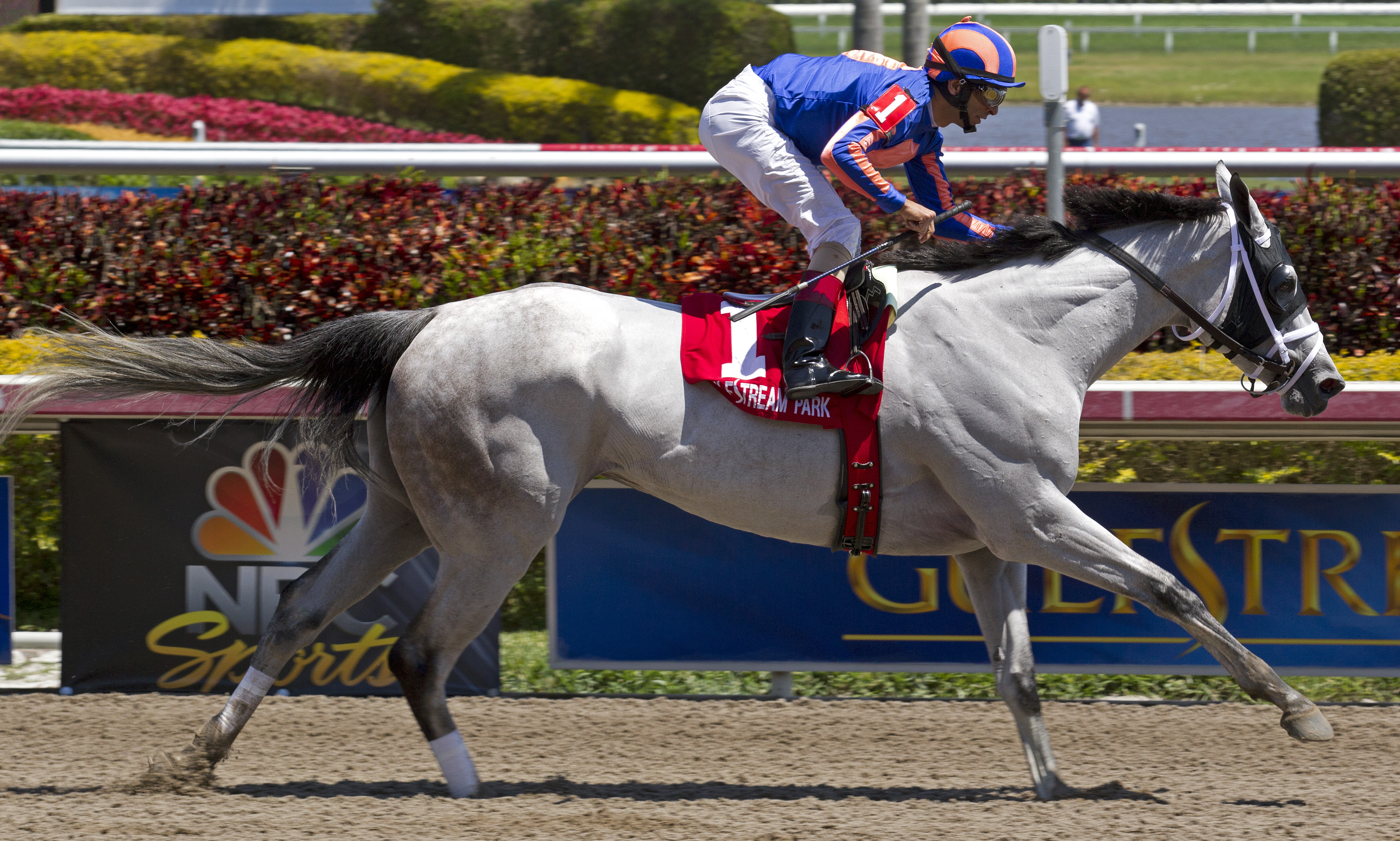 Ciao Bella, Rampart Stakes