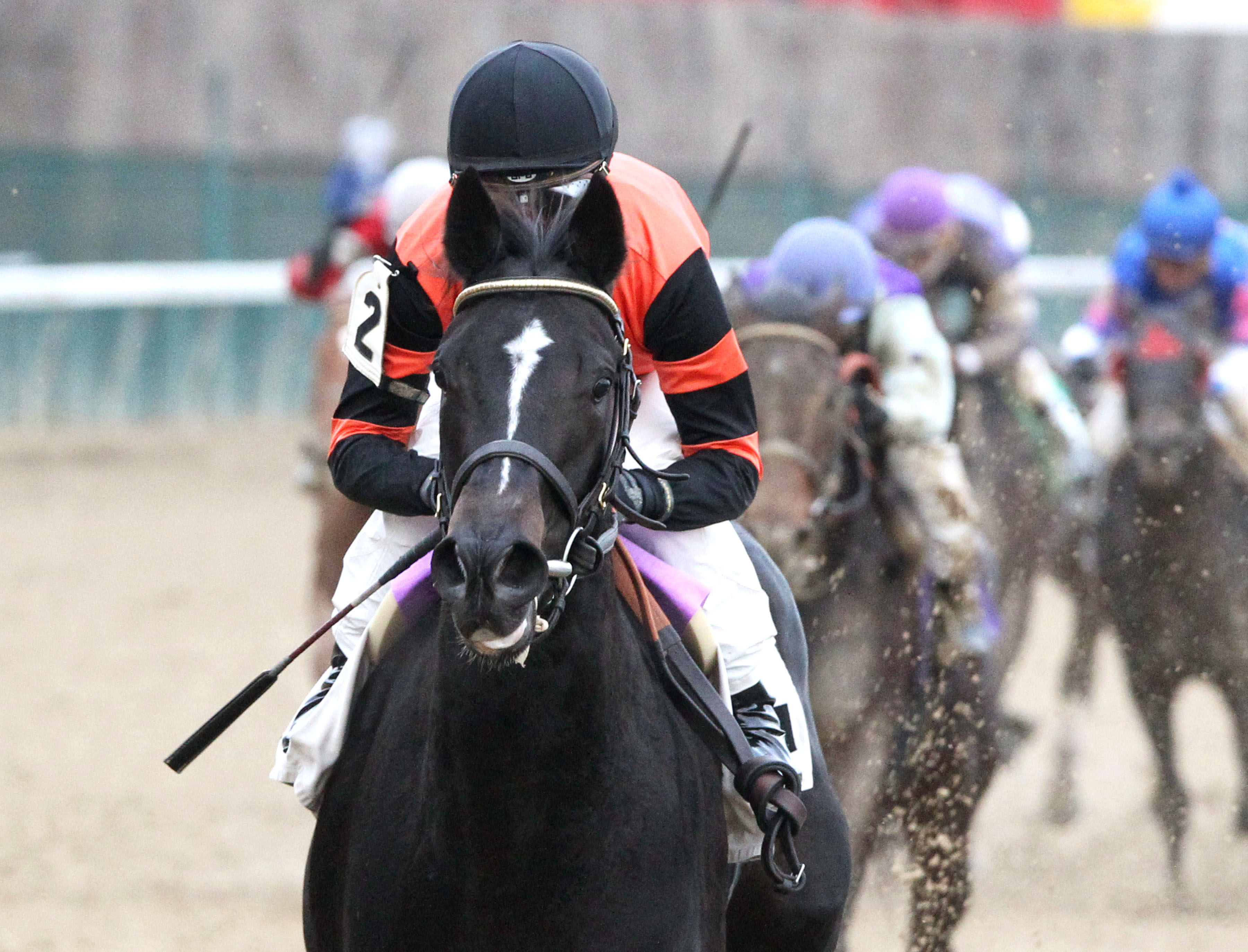Cicatrix wins a Nov. 16 maiden race