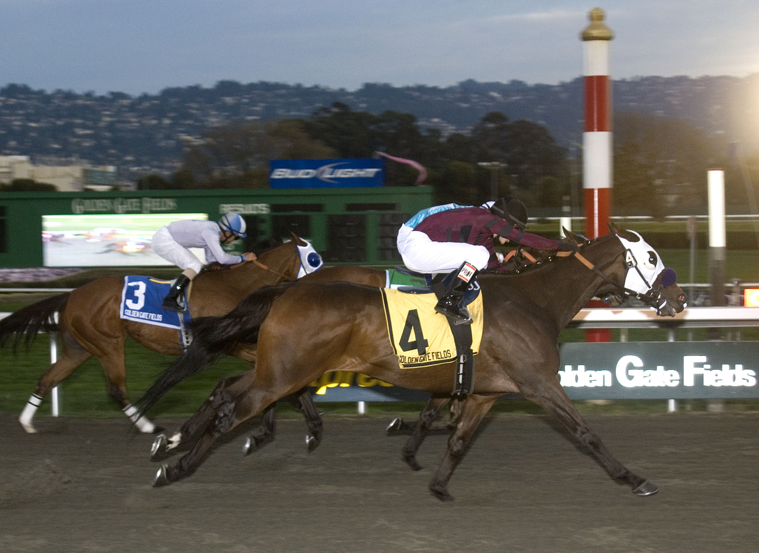 Cigar Man/All American