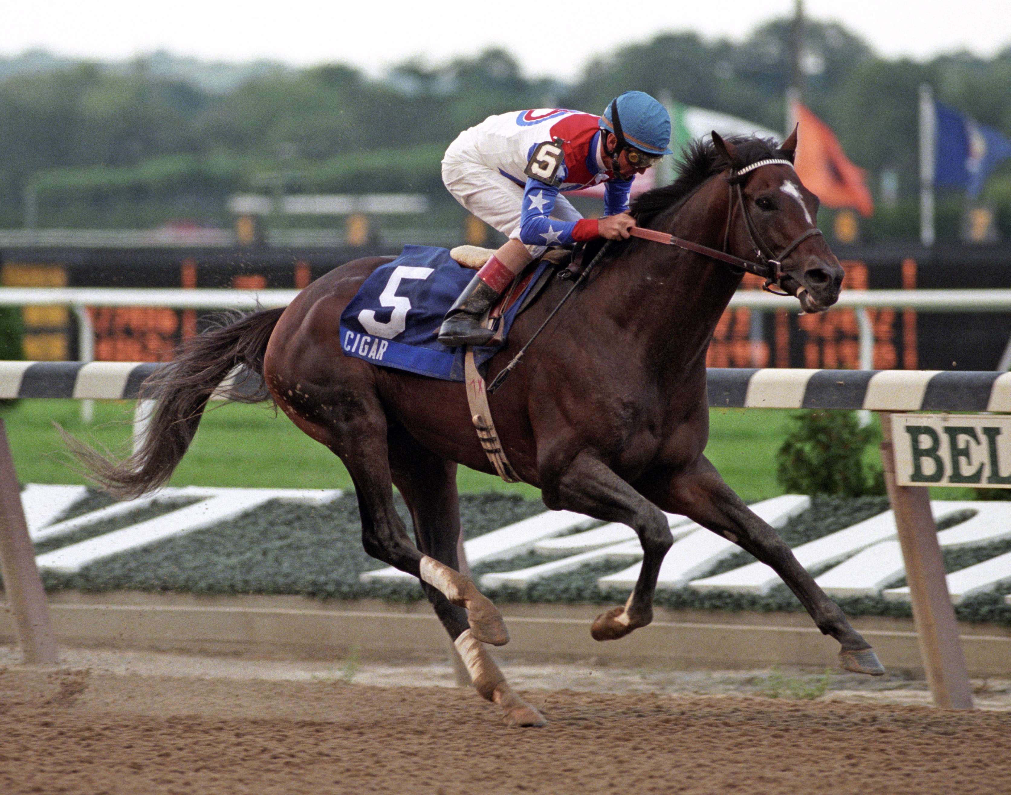 Cigar winning the 1996 Woodward Stakes