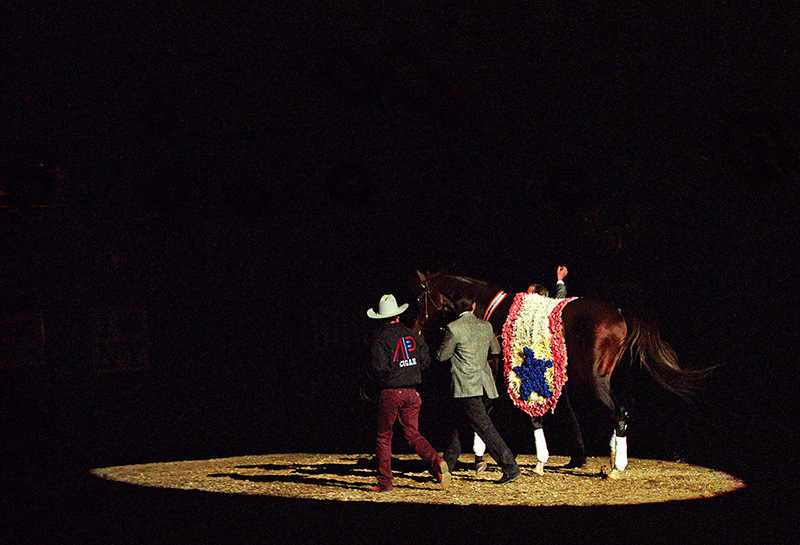 Cigar at Madison Square Garden on Nov. 2, 1996