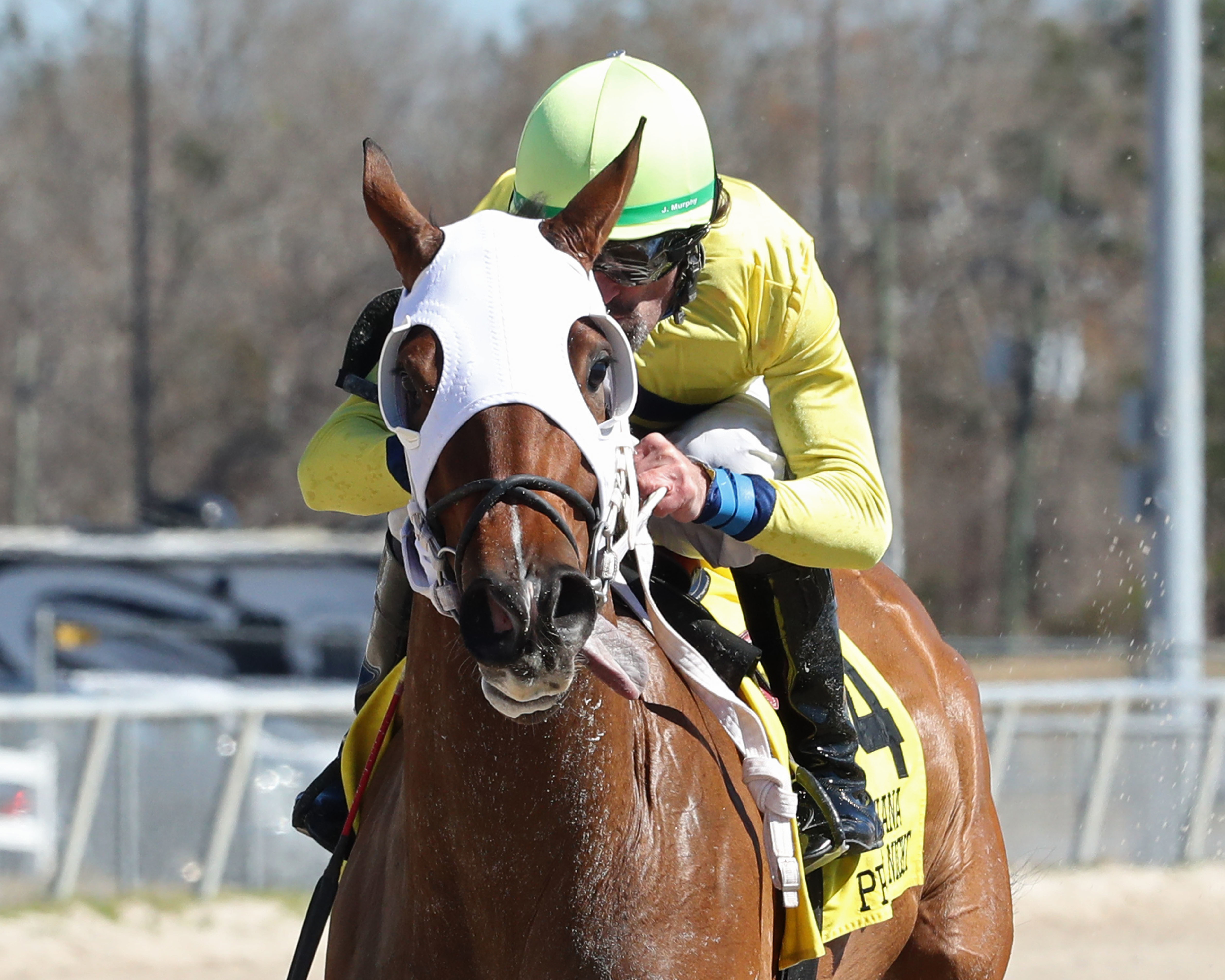 Cilla wins the Premier Matron at Delta Downs on Feb 5 2022