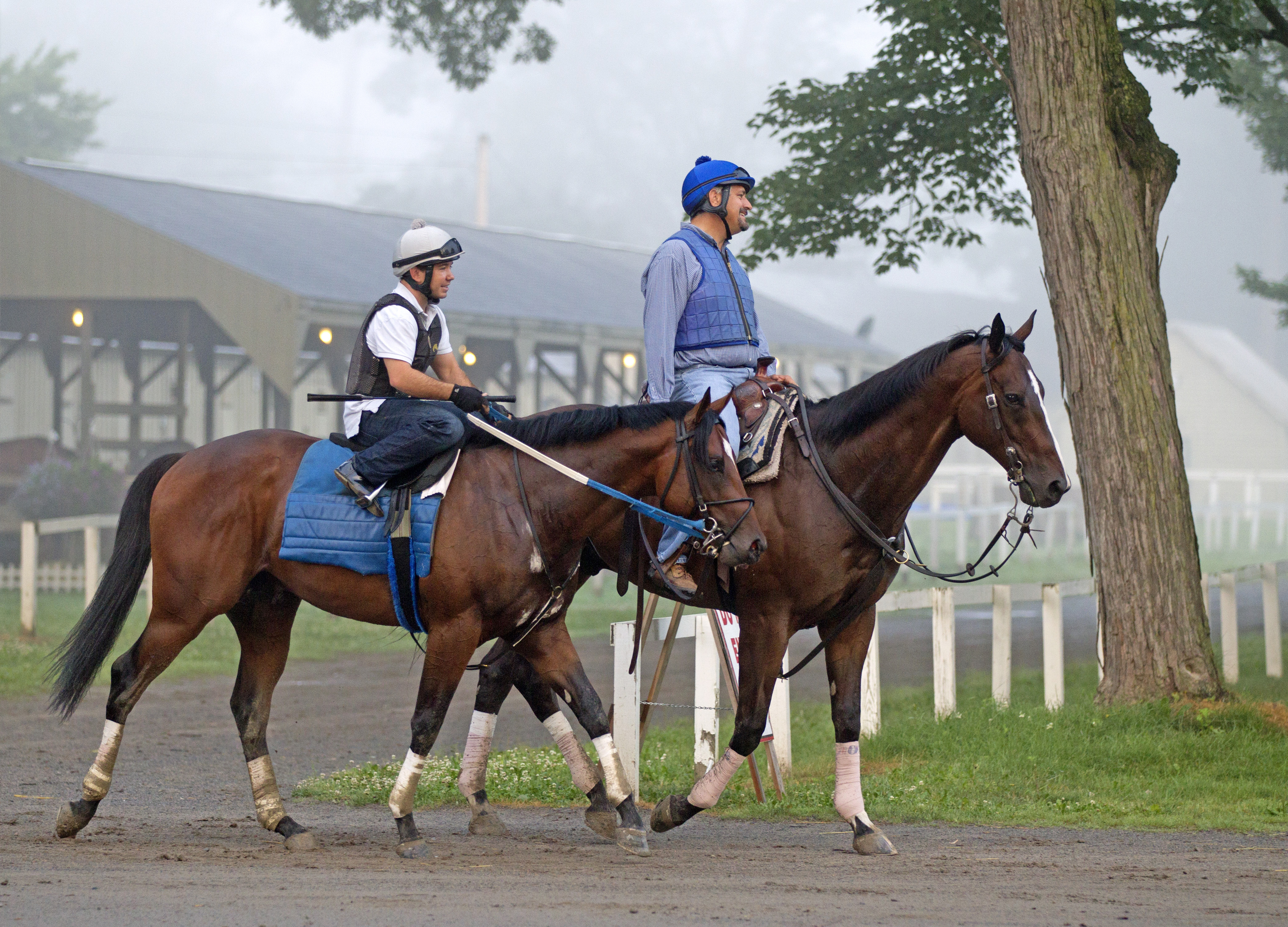 Cinco Charlie with trainer Steve Asmussen