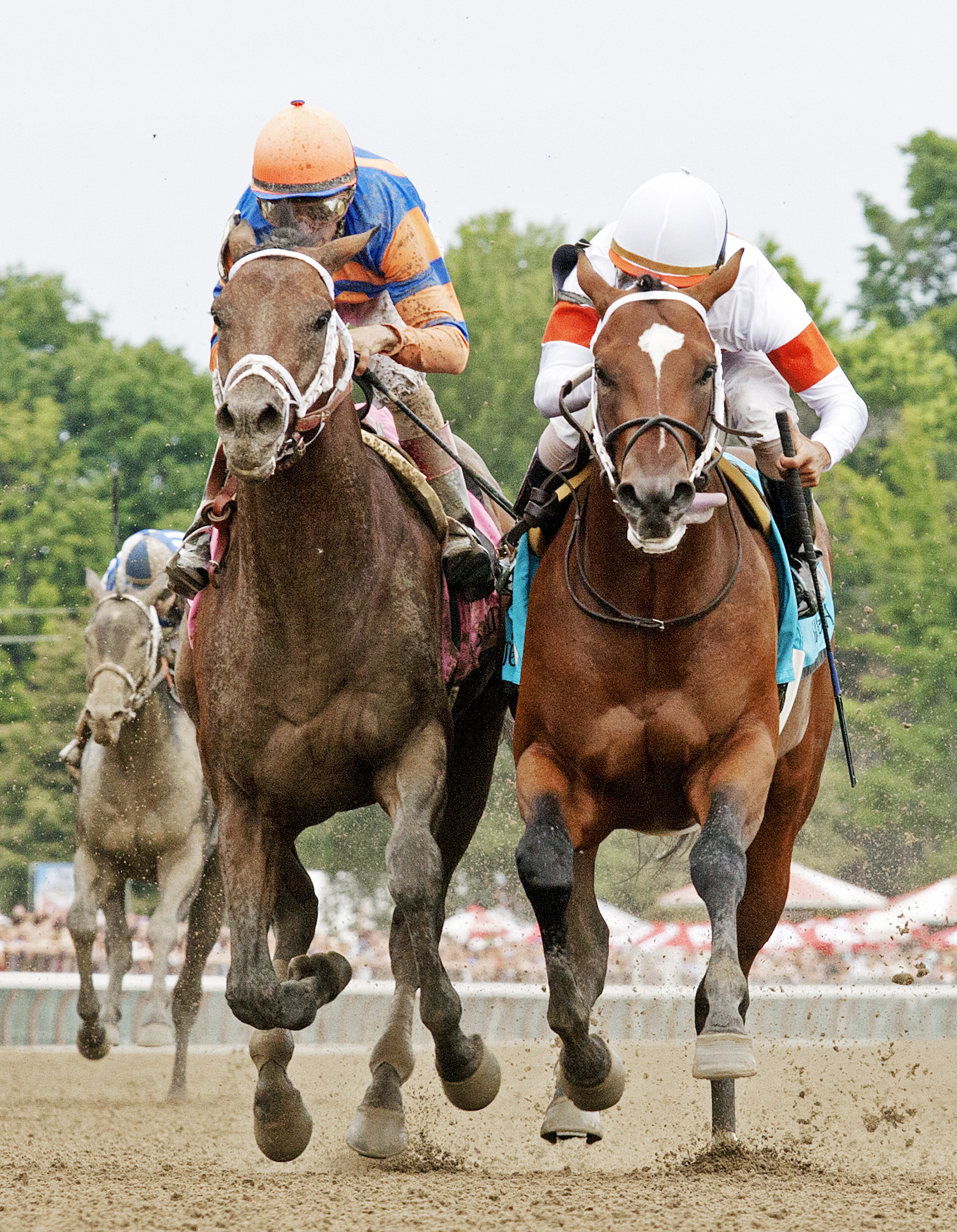 Cinco Charlie and Nonna's Boy in the Sanford Stakes
