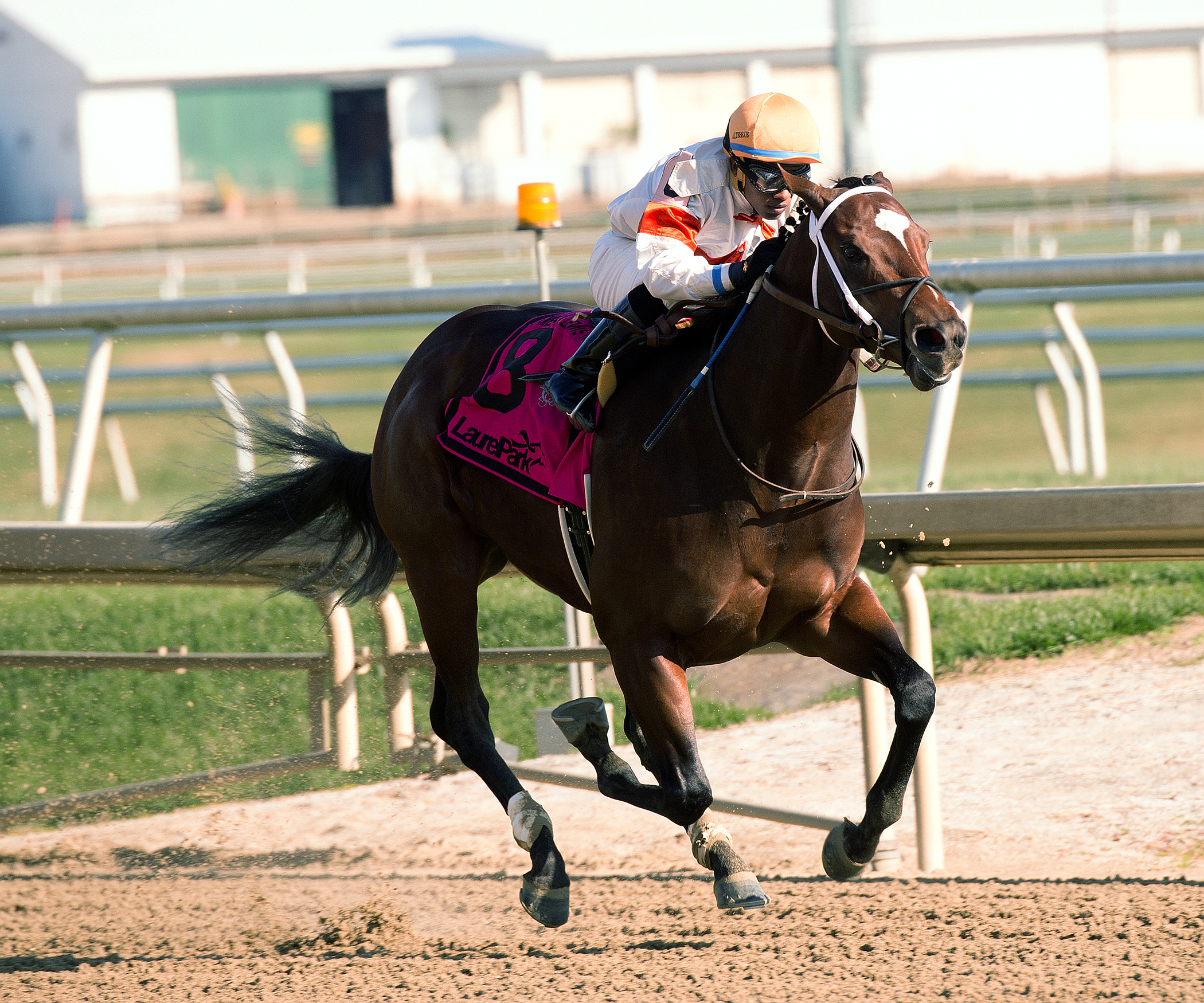 Cinco Charlie wins the James F. Lewis III Stakes