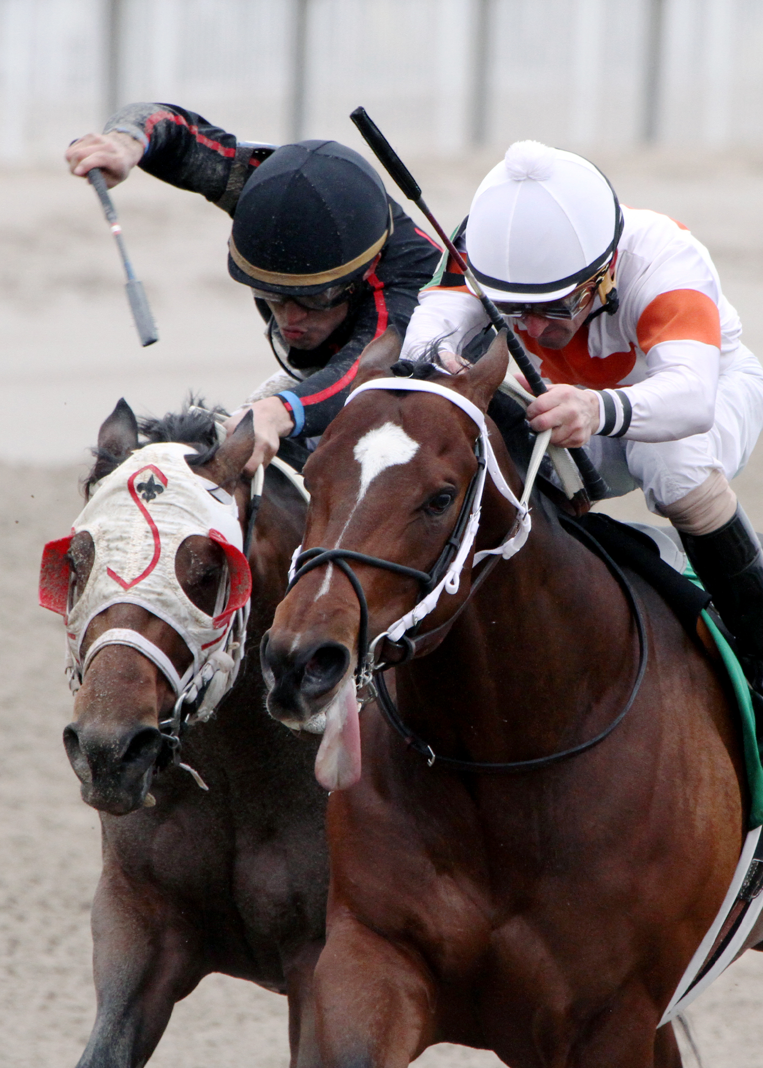 Cinco Charlie wins the Sugar Bowl Stakes