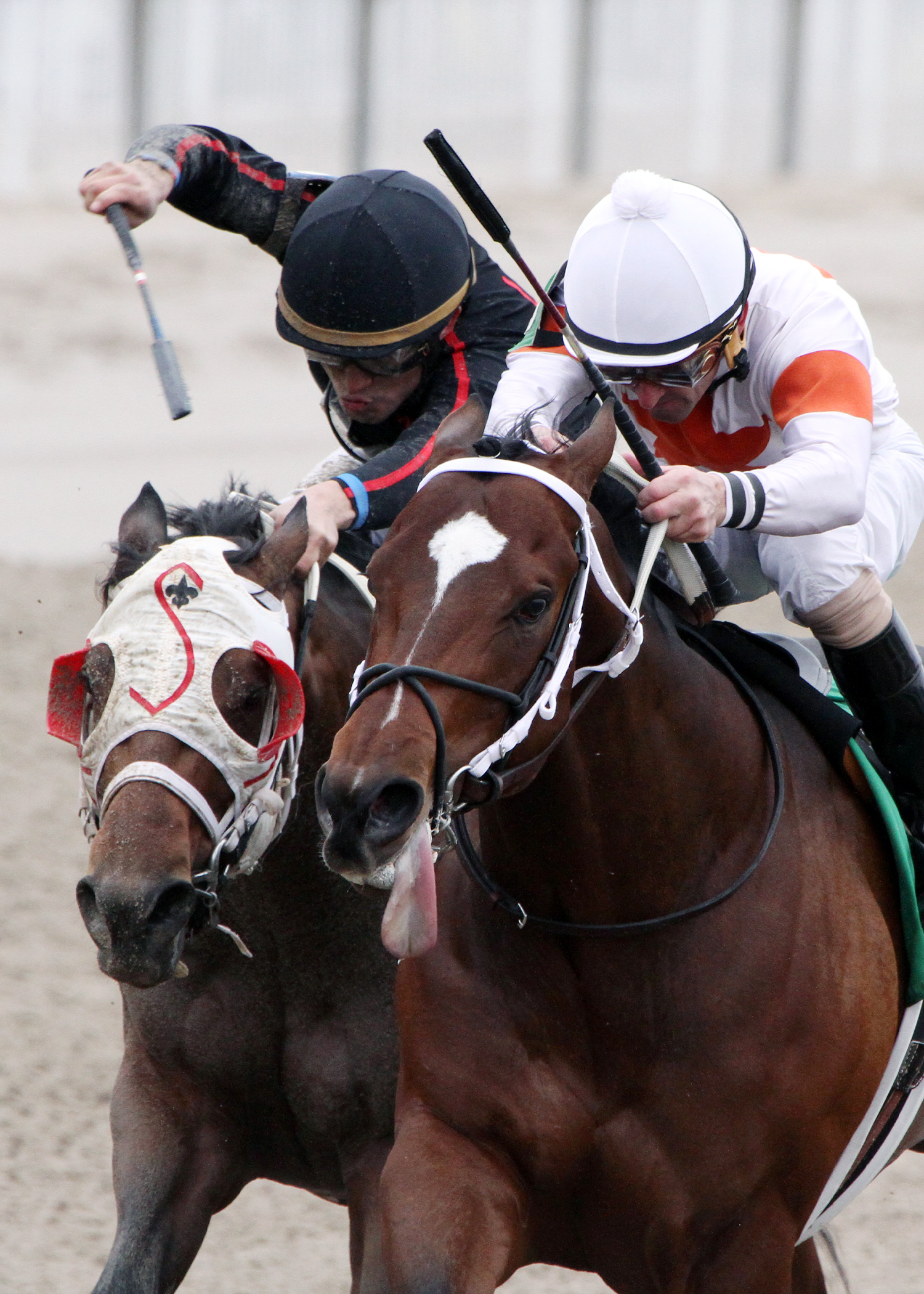 Bourbon Cowboy finishes second in the Sugar Bowl Stakes