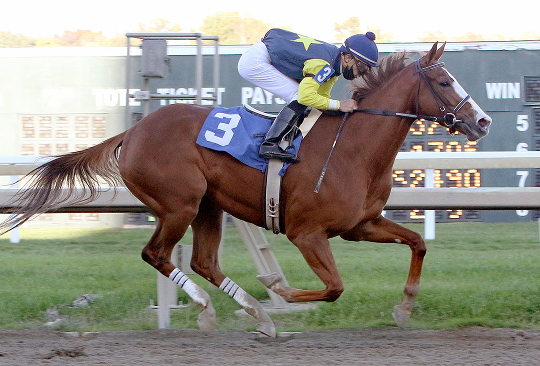 Cinnabunny wins an Oct. 14 allowance at Parx Racing