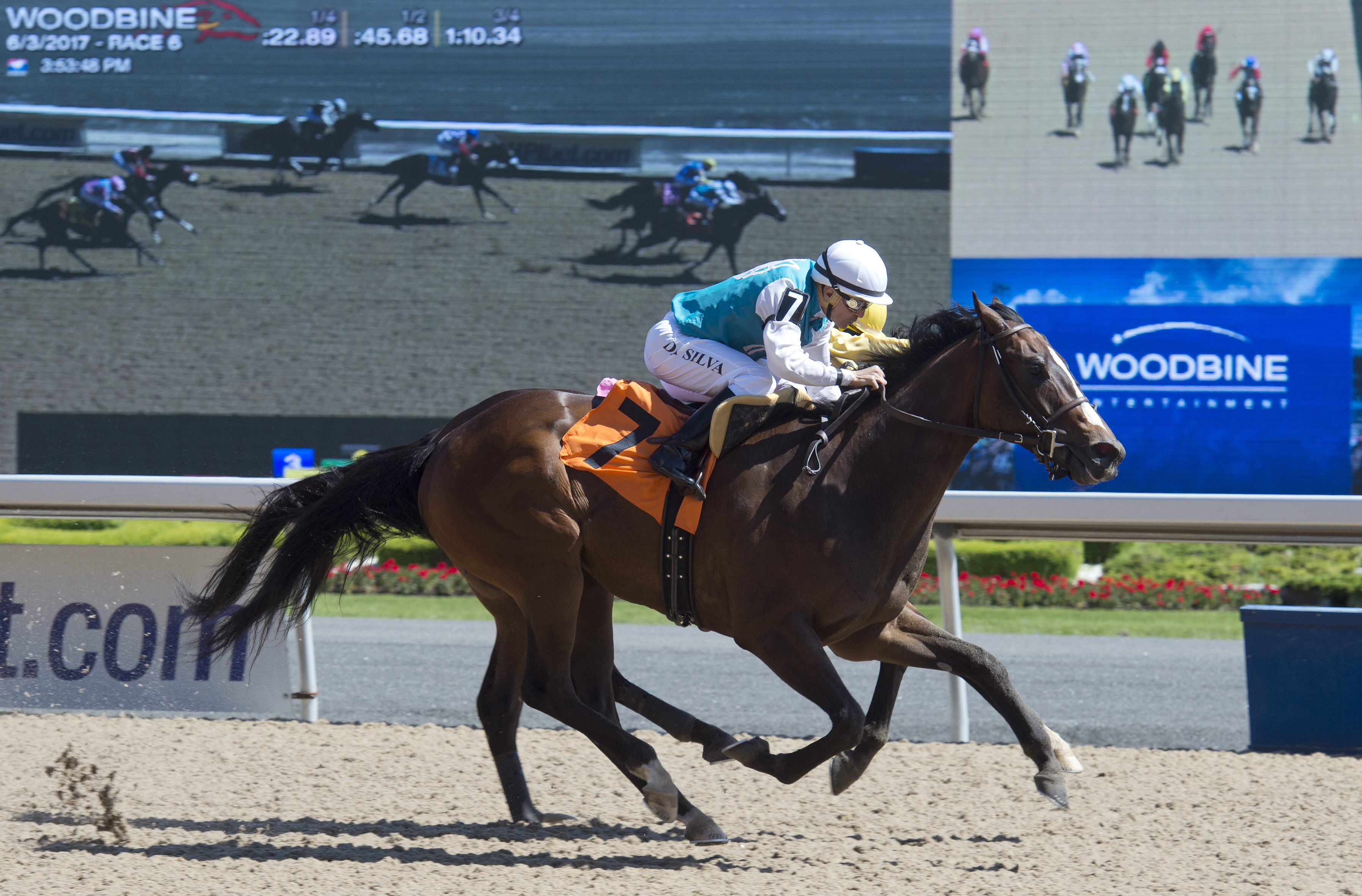 Circle of Friends wins an optional claiming race on June 3
