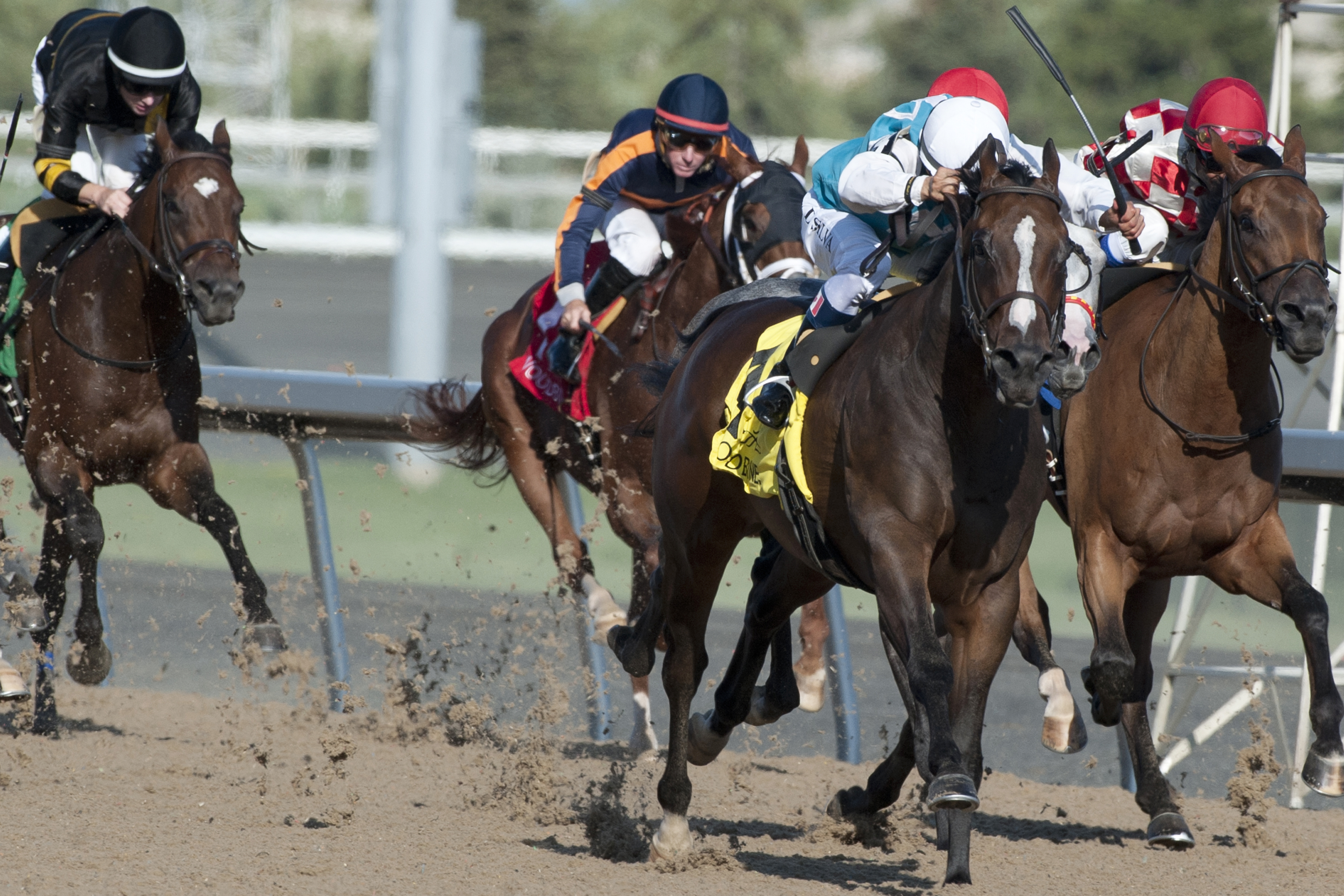 Circle of Friends wins the 2017 Ontario Jockey Club Stakes